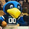 Bleacher Creatures Air Force Falcons "The Bird" 10" Mascot Plush Figure